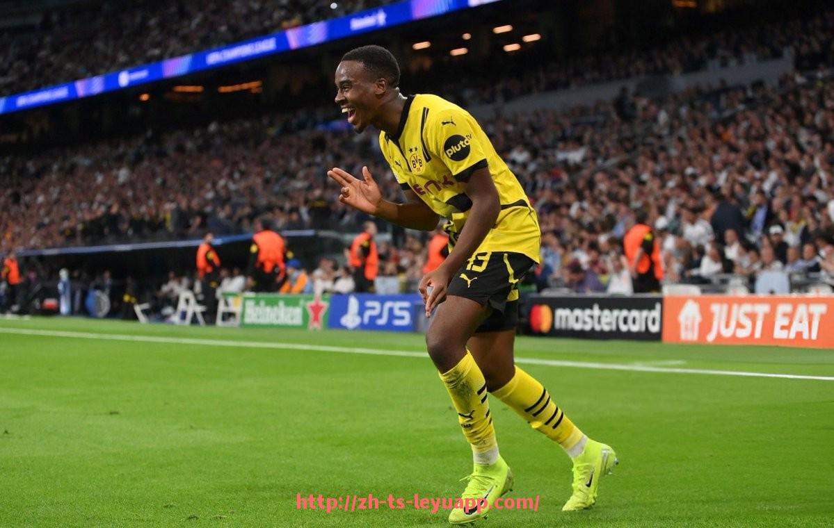 乐鱼体育入口-法甲球队青训战略实施效果及其对未来竞争力的保障