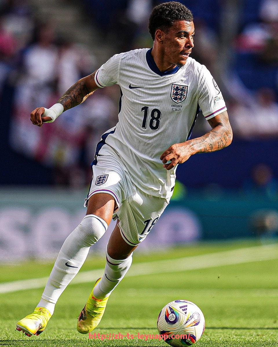 乐鱼体育入口-法甲马赛主场草坪维护的管理与球场环境