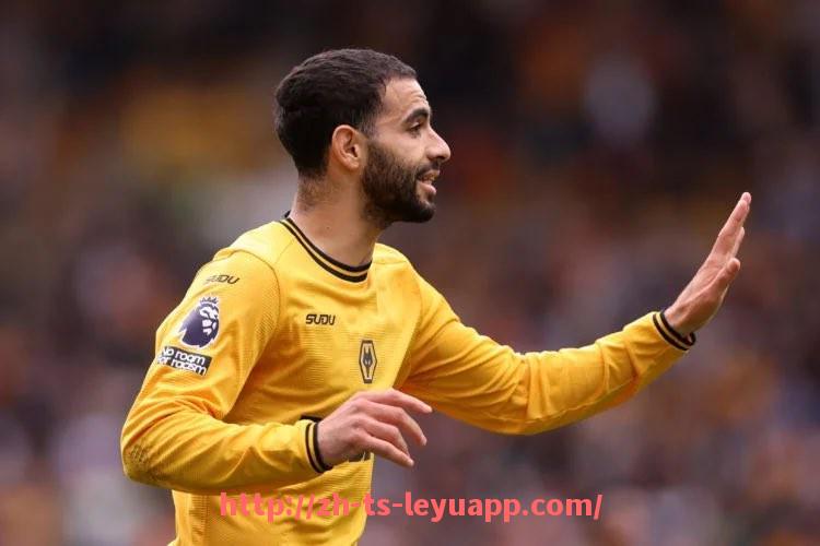 乐鱼体育入口-英超排名争夺战火升级：20强格局裂变与新王崛起